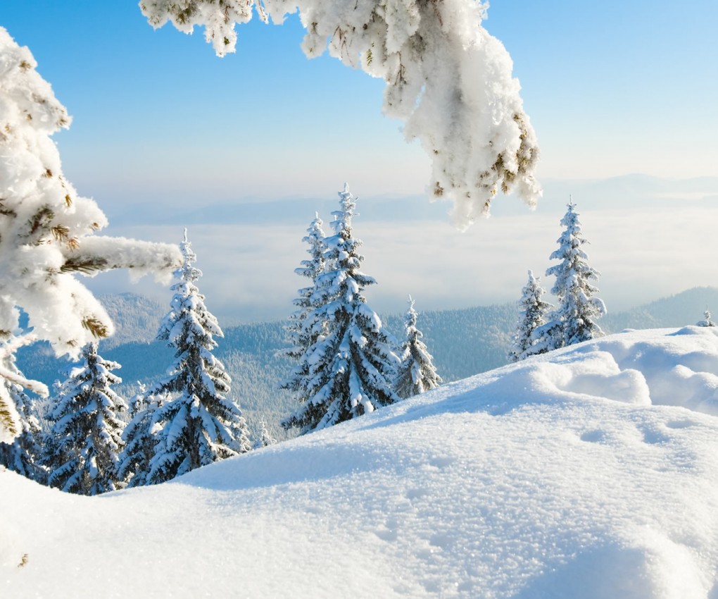 Tief verschneite Winterlandschaft