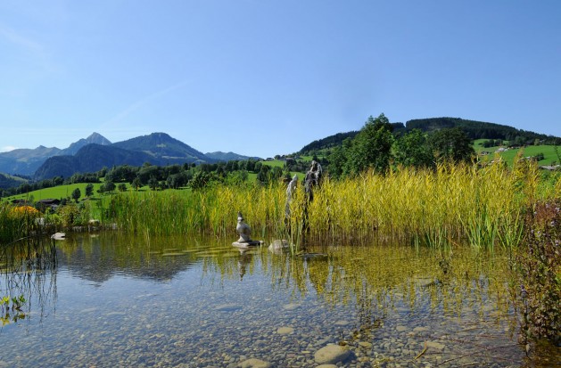 Eigener Badeteich