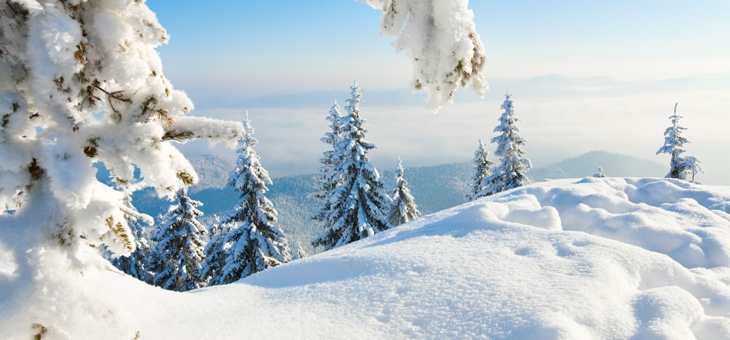 Verschneite Winterlandschaft